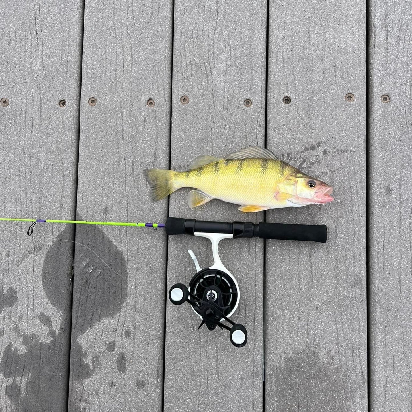 Wasatch The Joker "Co-Designed by Shifty Outdoors"