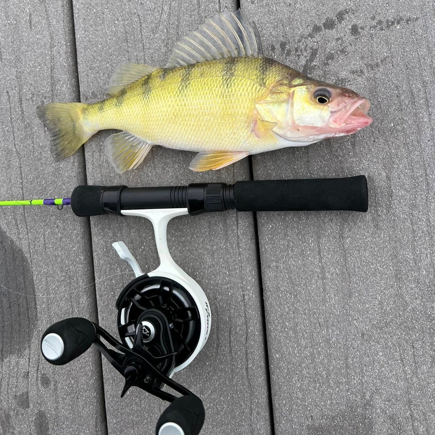 Wasatch The Joker "Co-Designed by Shifty Outdoors"