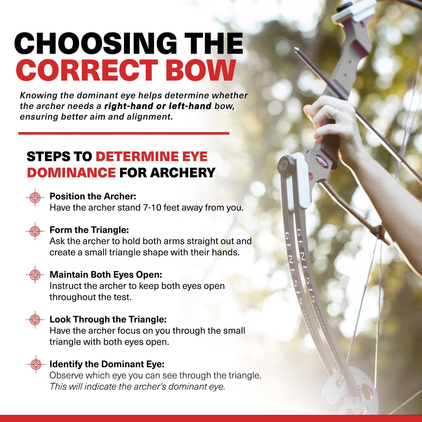 Genesis Original Archery Compound Bow with Adjustable Sizing, Right Handed, Red