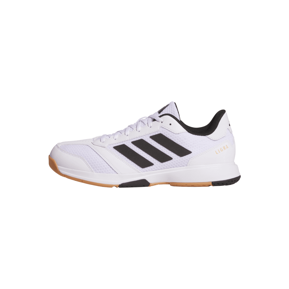 adidas Men's Ligra 8 Volleyball Shoe