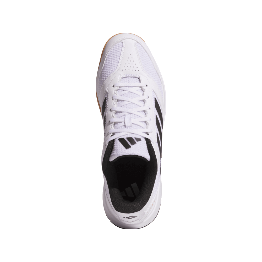 adidas Men's Ligra 8 Volleyball Shoe