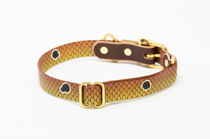 Whiskey Leatherworks Saltwater Dog Collars