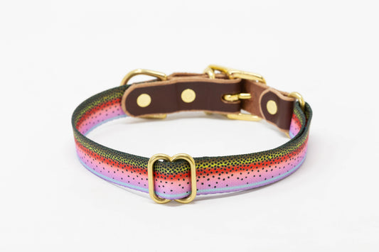 Whiskey Leatherworks Freshwater Dog Collars