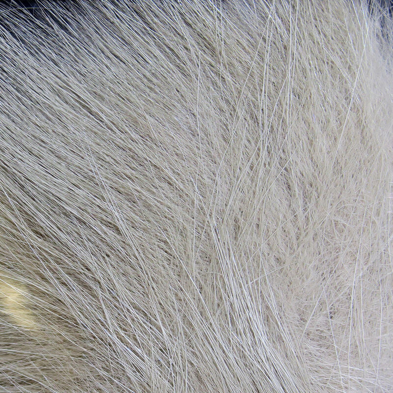 Clouser's Arctic Fox Hair