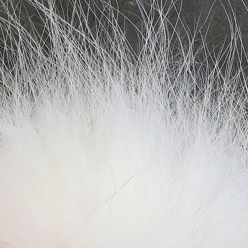 Clouser's Arctic Fox Hair