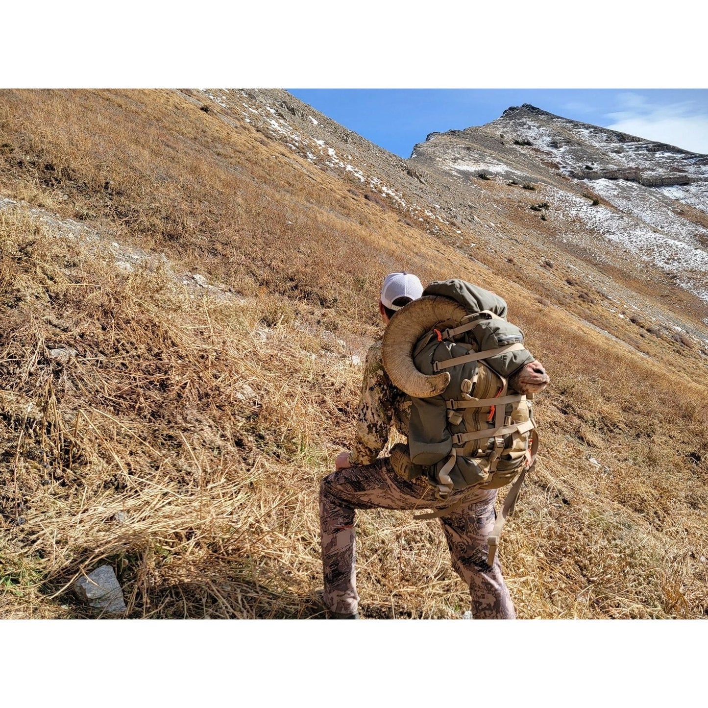 Alaska Guide Creations Kobuk 28 with Kobuk Frame - Angler's Pro Tackle & Outdoors