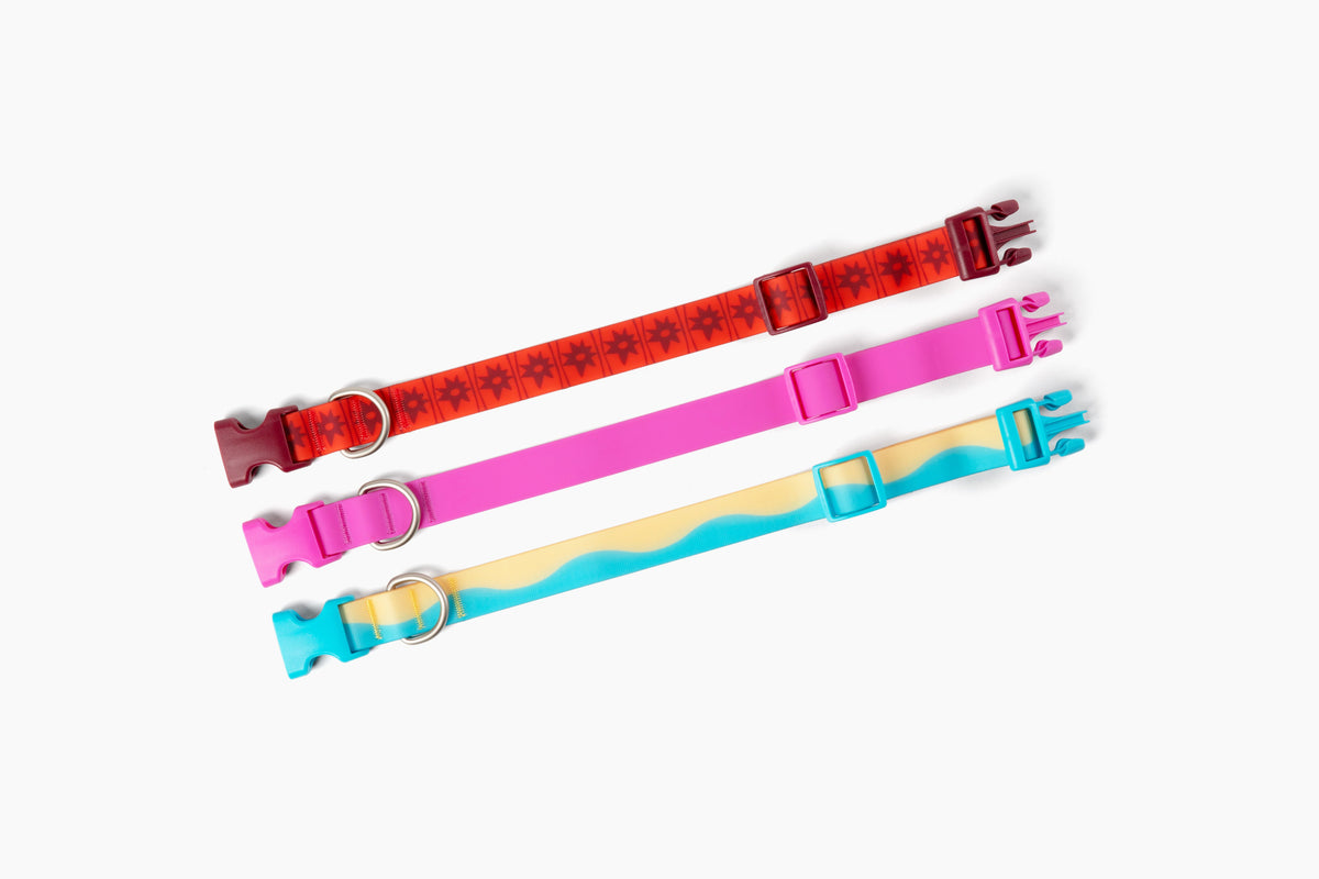 Springland Pets Waterproof Dog Collar