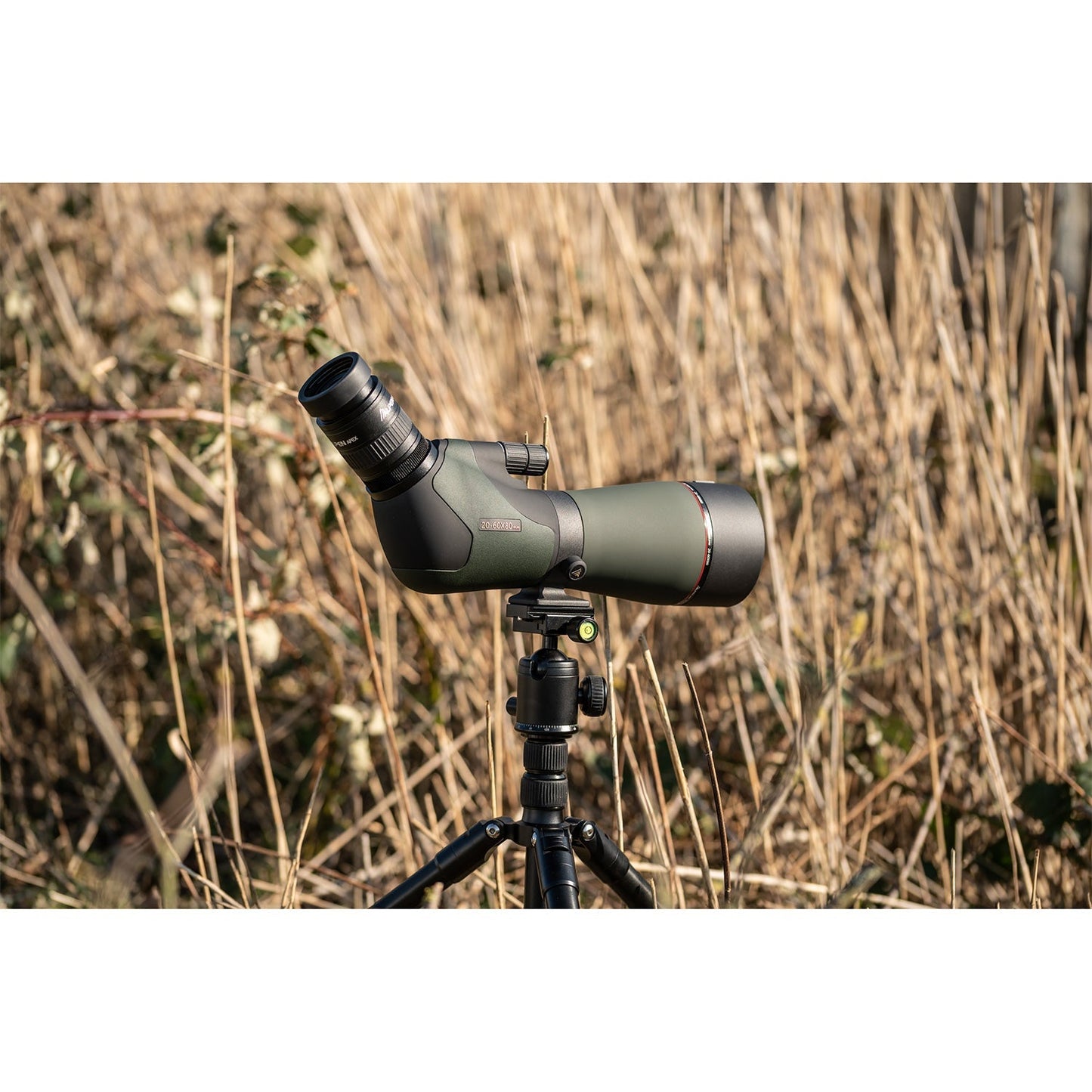 Alpen Apex XP 20 - 60x80 ED Waterproof Spotting Scope - Angler's Pro Tackle & Outdoors