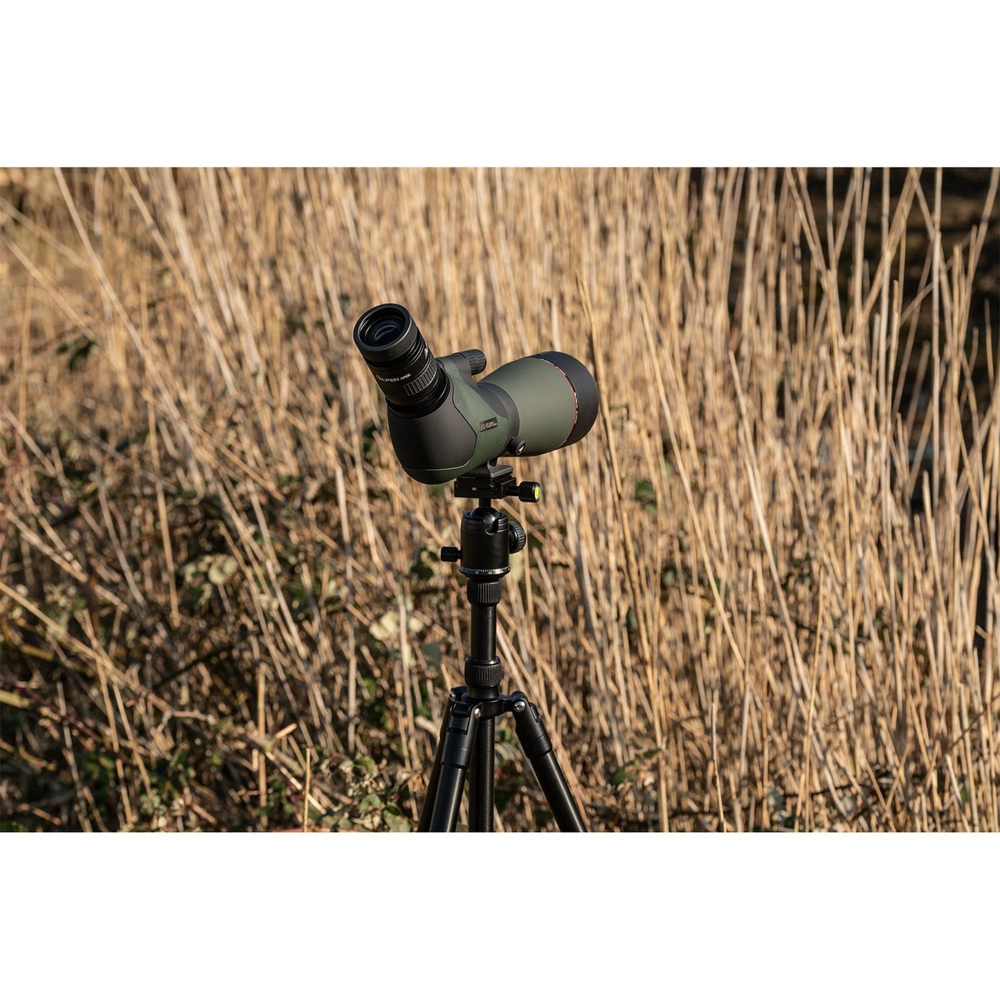 Alpen Apex XP 20 - 60x80 ED Waterproof Spotting Scope - Angler's Pro Tackle & Outdoors