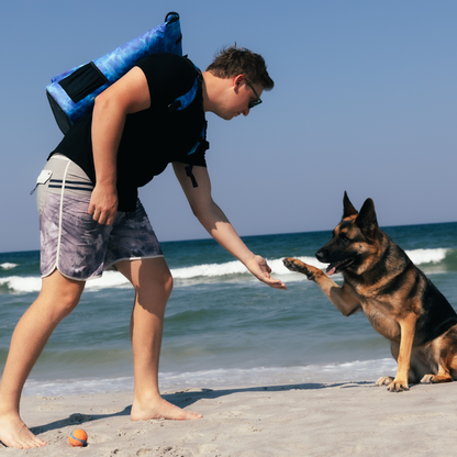 Dry Pocket Auto-Sealing, Waterproof, Floating, Scent Proof Backpack Cooler