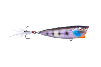 Ark Topwater Popper - Angler's Pro Tackle & Outdoors