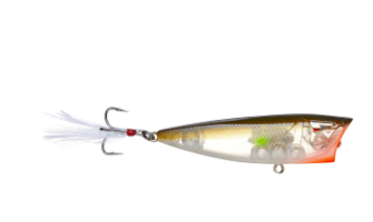 Ark Topwater Popper - Angler's Pro Tackle & Outdoors