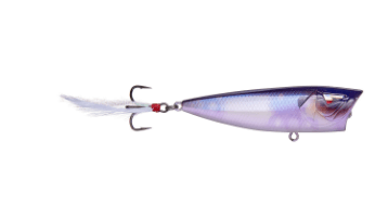 Ark Topwater Popper - Angler's Pro Tackle & Outdoors