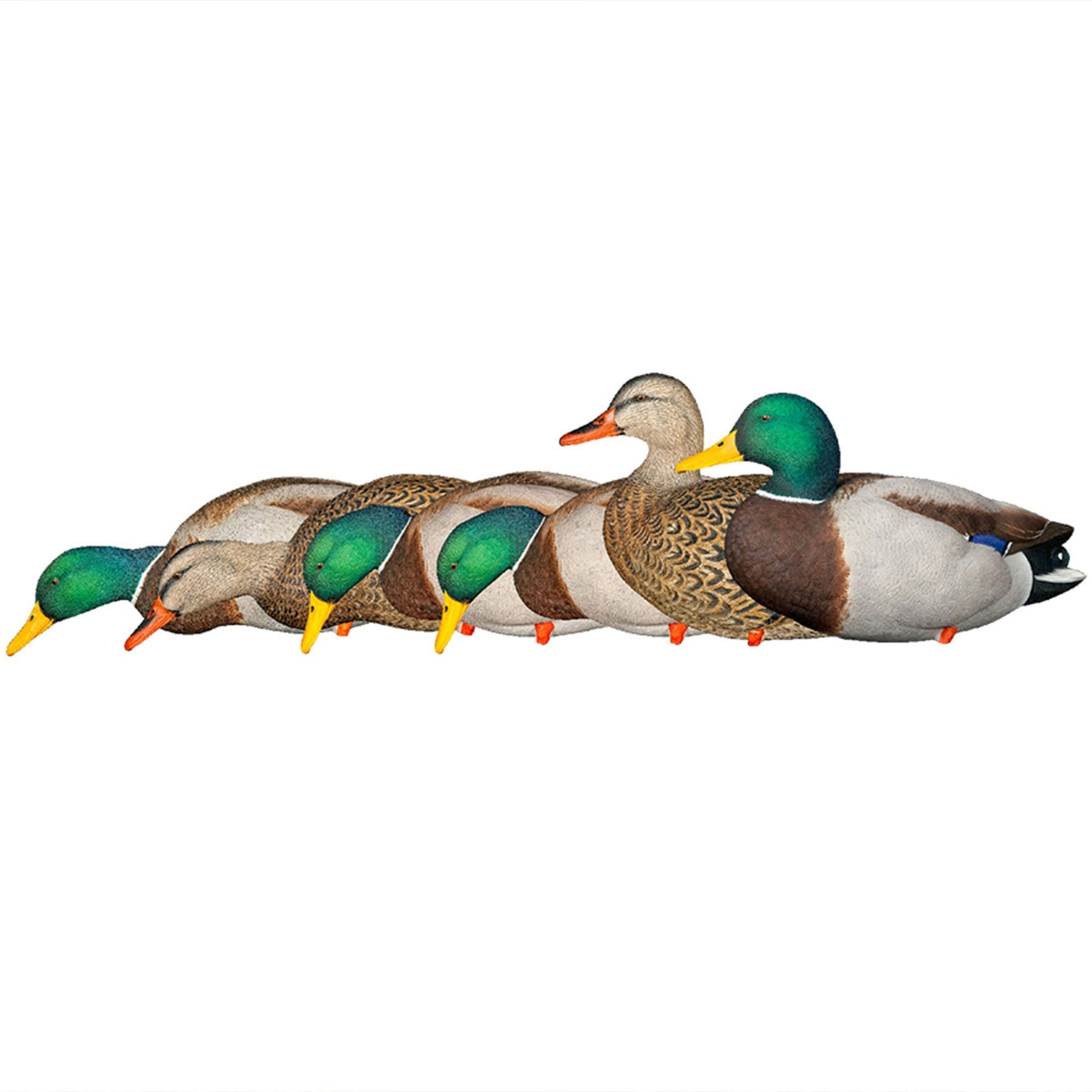 Avian X AXP Full Body Mallards Decoy, Ultra Realistic and Wind Activated, 6 Pack - Angler's Pro Tackle & Outdoors