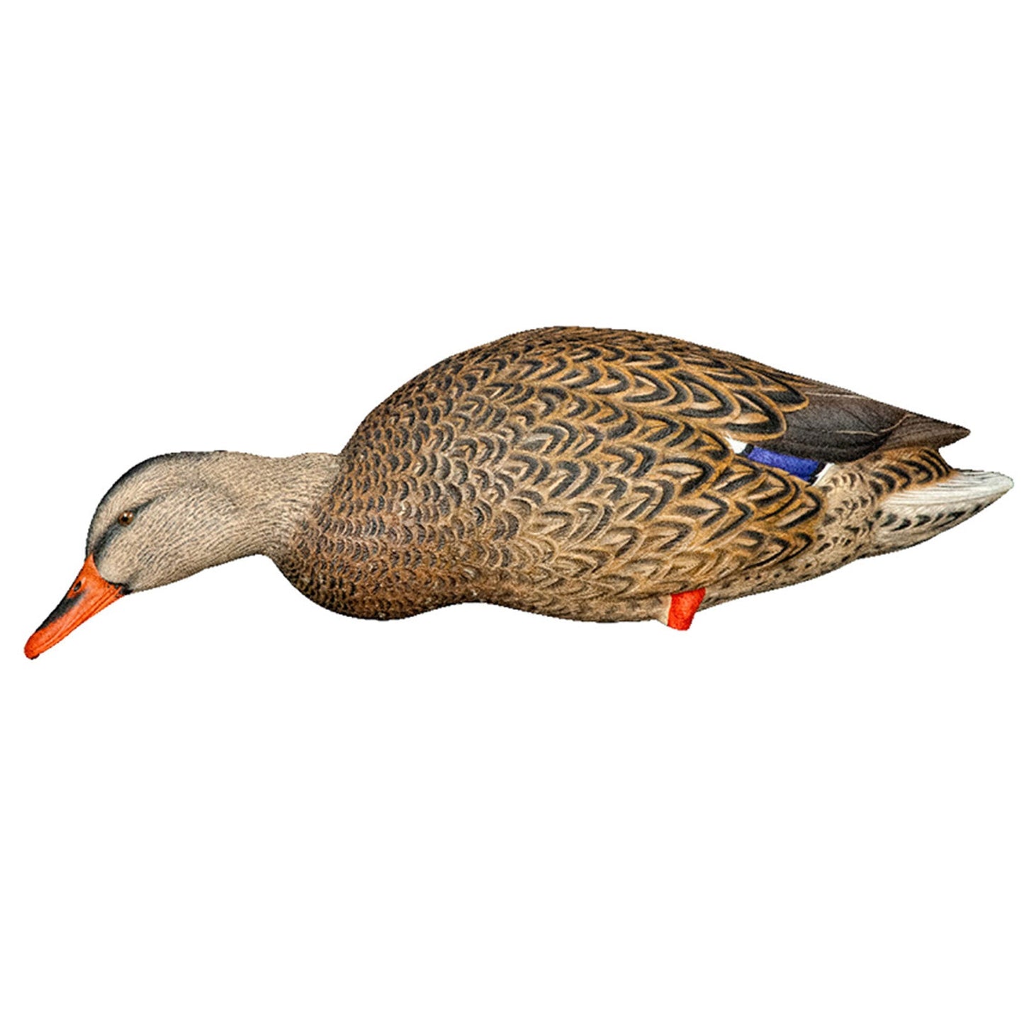 Avian X AXP Full Body Mallards Decoy, Ultra Realistic and Wind Activated, 6 Pack - Angler's Pro Tackle & Outdoors