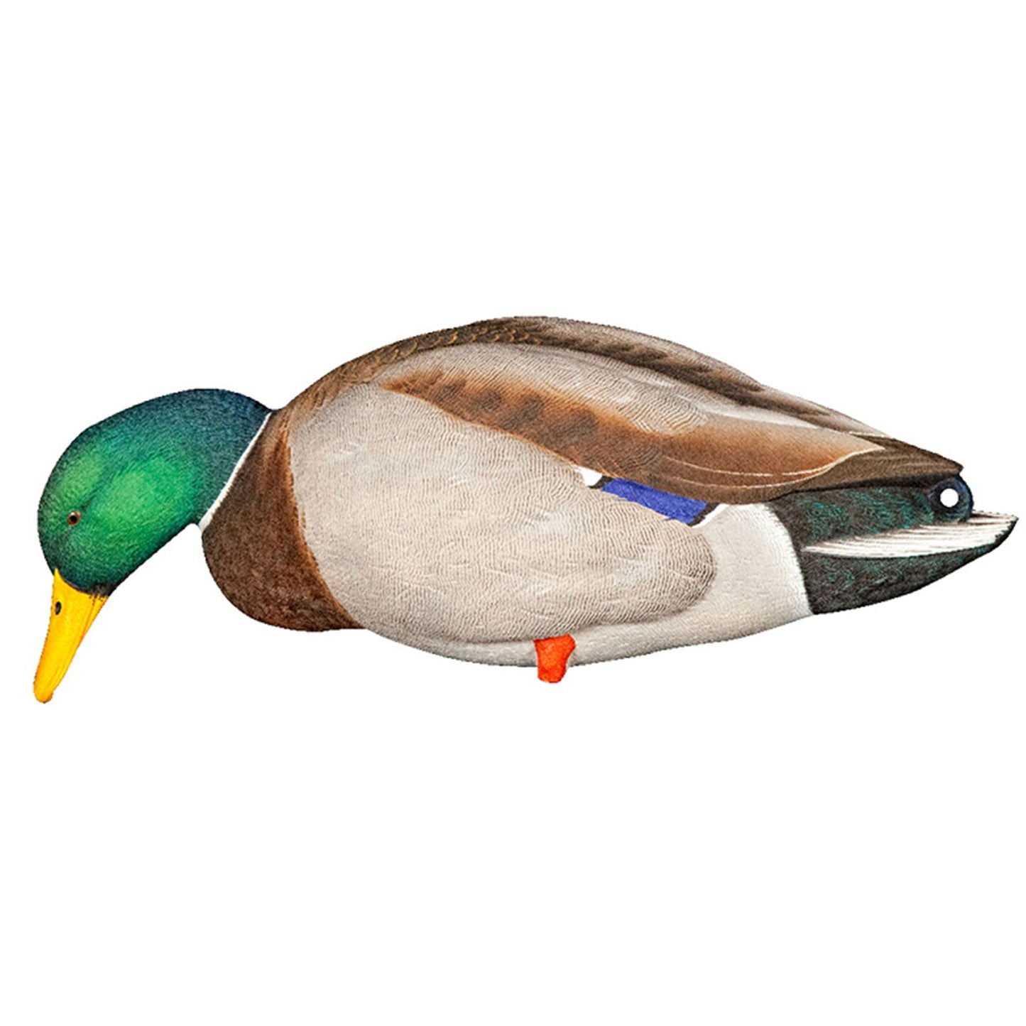 Avian X AXP Full Body Mallards Decoy, Ultra Realistic and Wind Activated, 6 Pack - Angler's Pro Tackle & Outdoors