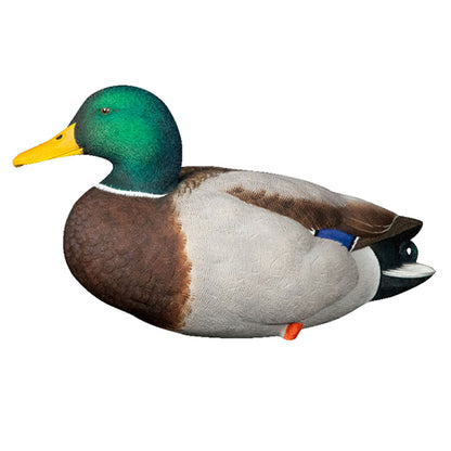 Avian X AXP Full Body Mallards Decoy, Ultra Realistic and Wind Activated, 6 Pack - Angler's Pro Tackle & Outdoors