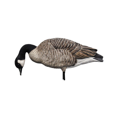 Avian X AXP Honkers Full Body Realistic Paint Canada Goose Decoys Fusion Pack - Angler's Pro Tackle & Outdoors