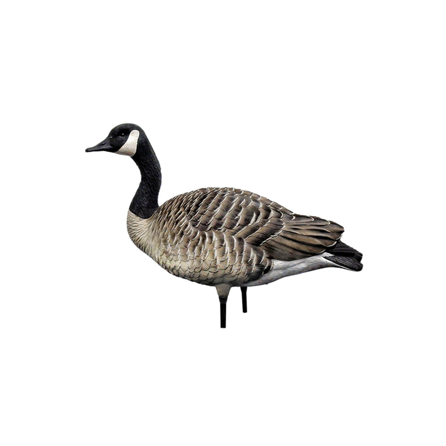 Avian X AXP Honkers Full Body Realistic Paint Canada Goose Decoys Fusion Pack - Angler's Pro Tackle & Outdoors