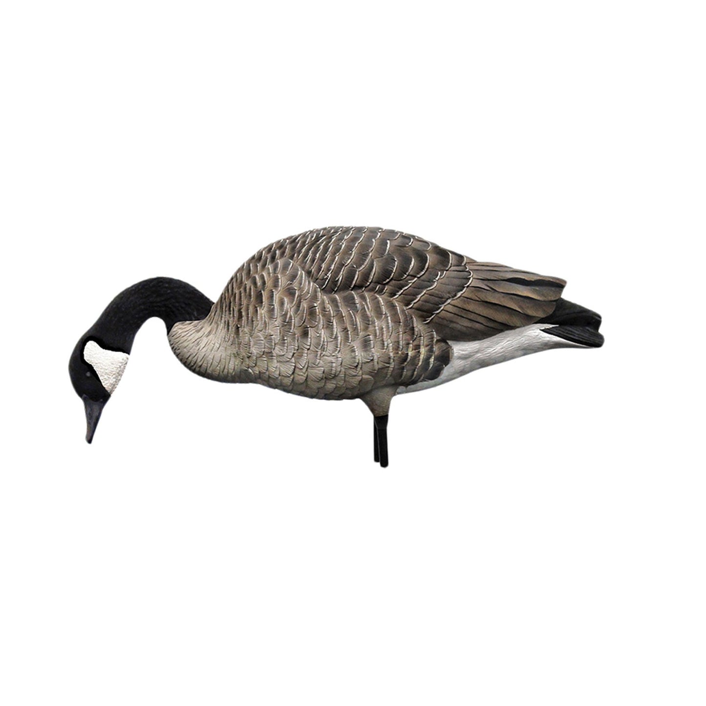 Avian X AXP Honkers Full Body Realistic Paint Canada Goose Decoys Fusion Pack - Angler's Pro Tackle & Outdoors