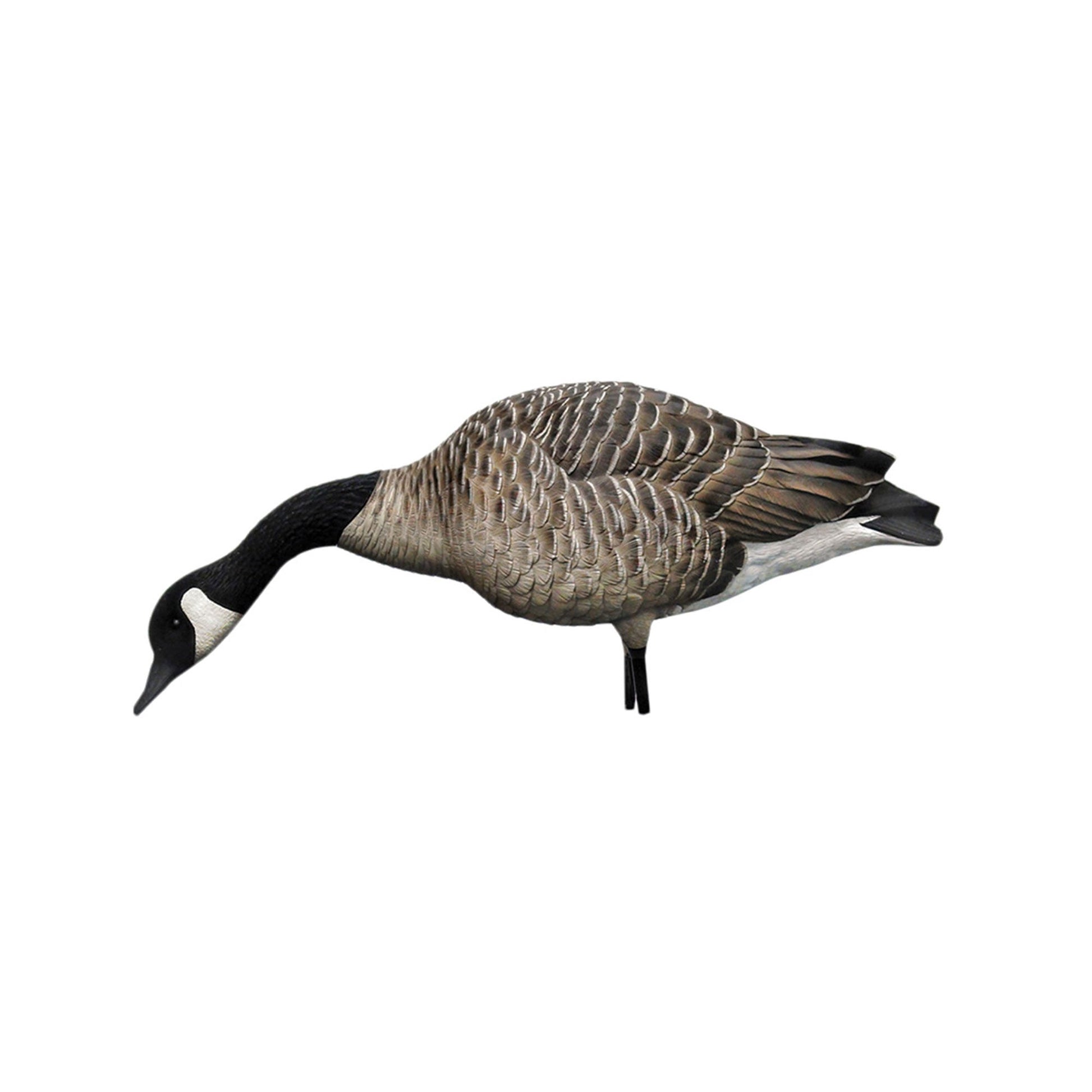 Avian X AXP Honkers Full Body Realistic Paint Canada Goose Decoys Fusion Pack - Angler's Pro Tackle & Outdoors