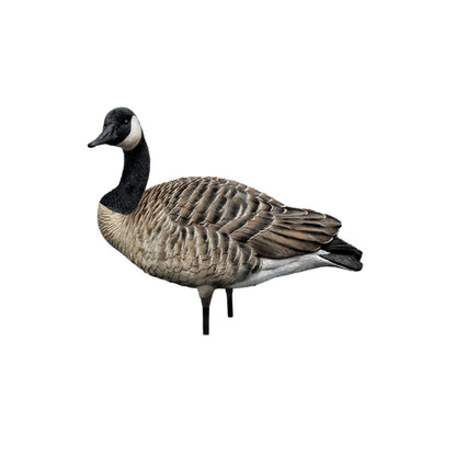 Avian X AXP Honkers Full Body Realistic Paint Canada Goose Decoys Fusion Pack - Angler's Pro Tackle & Outdoors