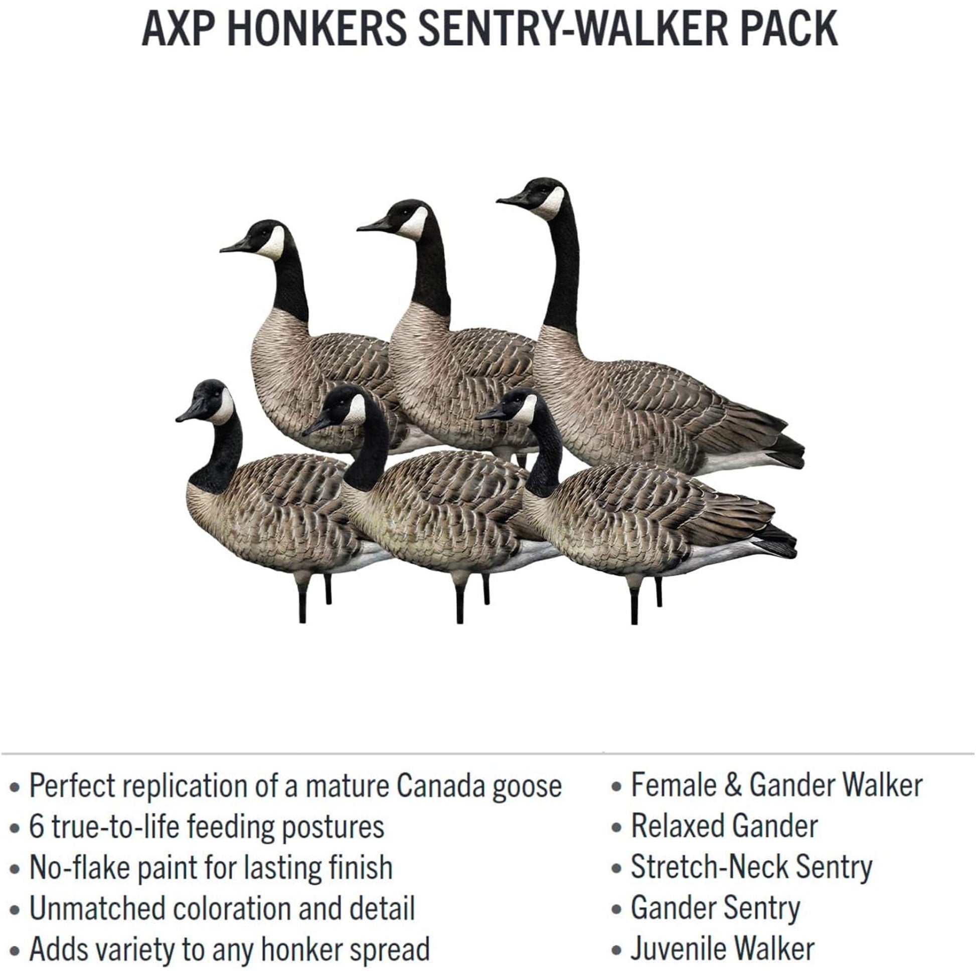 Avian X AXP Specklebelly Decoy Fusion Pack with Lasting Finish and Bag, 6 Pack - Angler's Pro Tackle & Outdoors