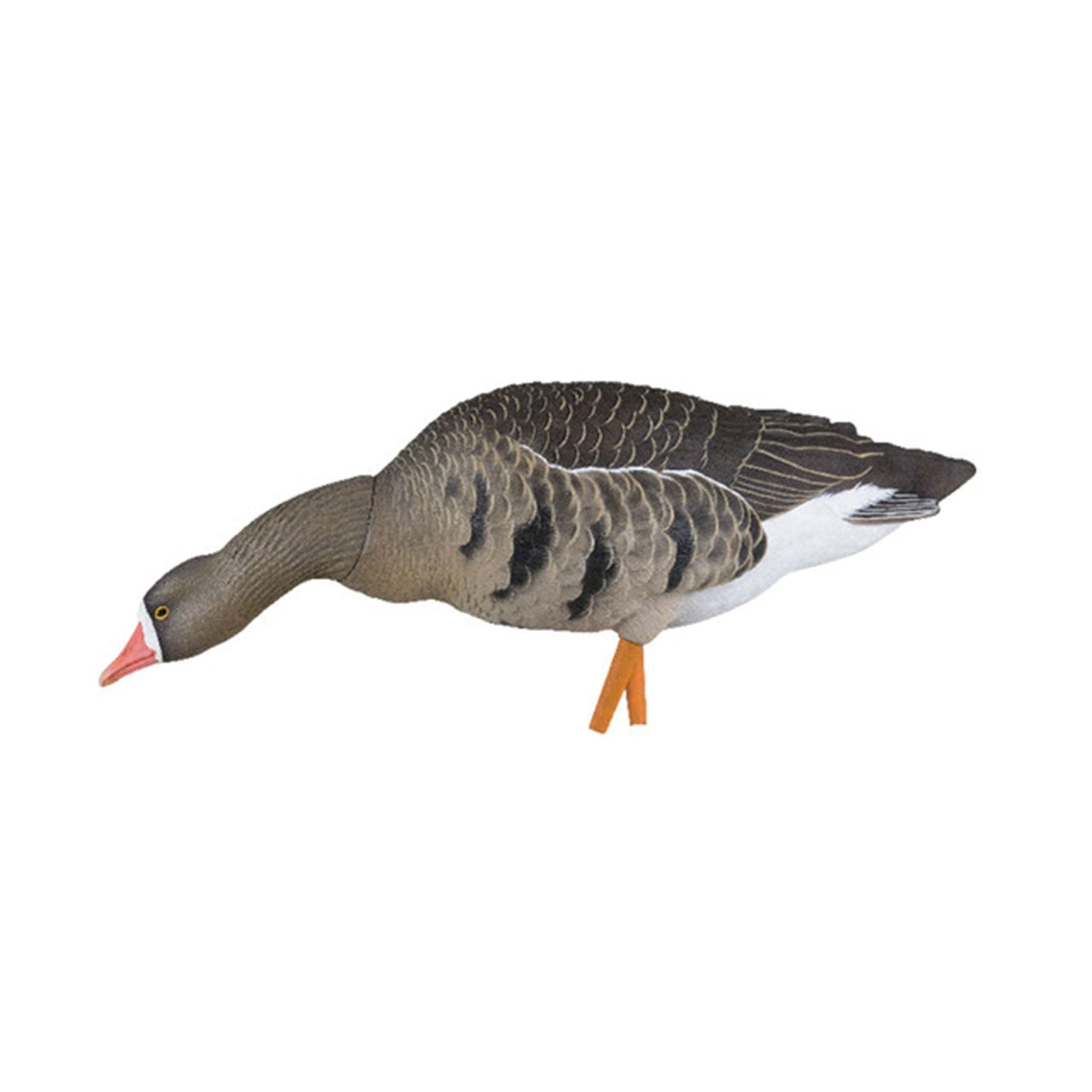 Avian X AXP Specklebelly Decoy Fusion Pack with Lasting Finish and Bag, 6 Pack - Angler's Pro Tackle & Outdoors