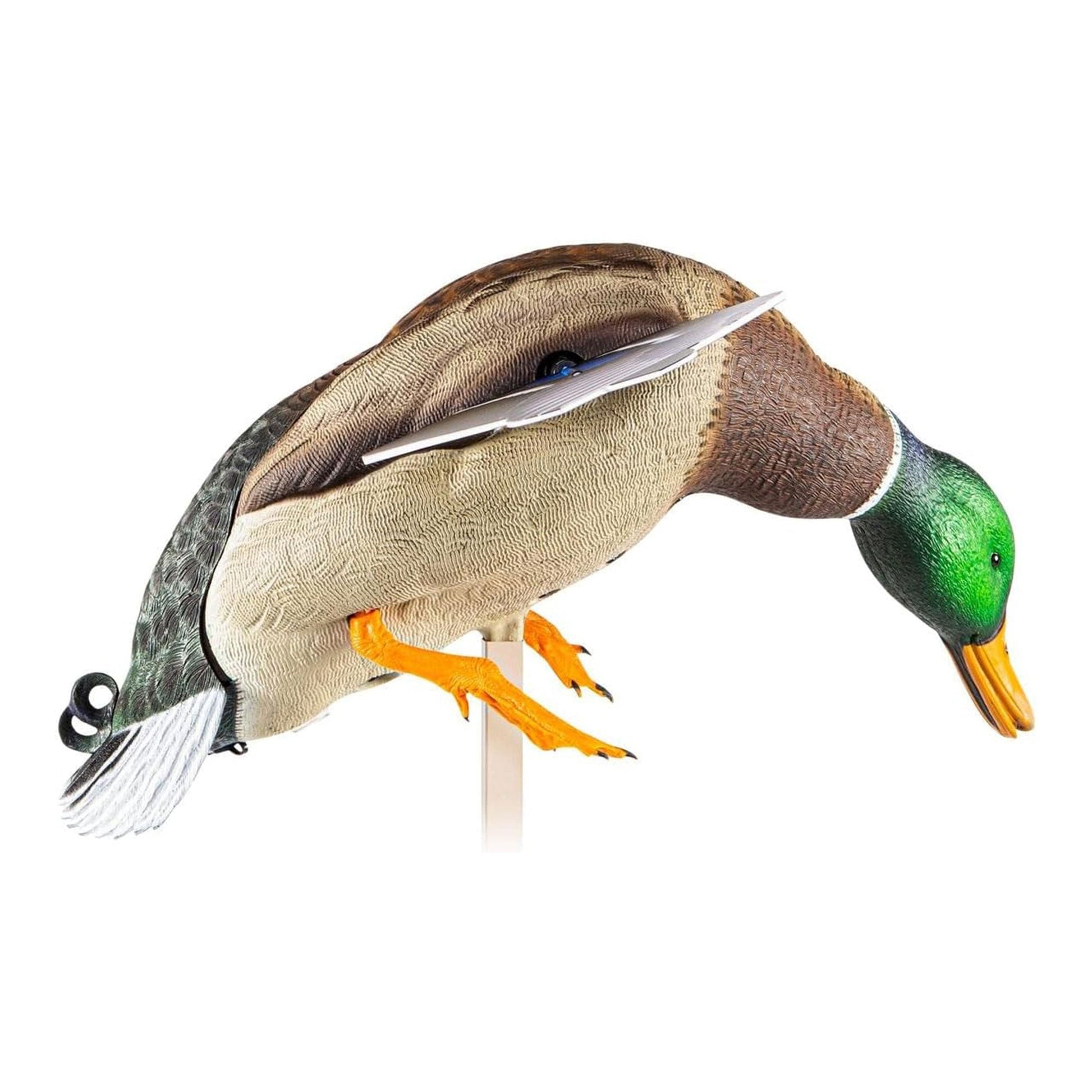 Avian X PowerFlight Mallard Weatherproof Realistic Spinning Wing Duck Decoy - Angler's Pro Tackle & Outdoors