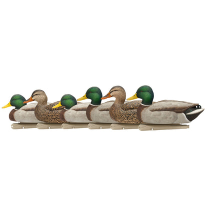 Avian X Top Flight Open Water Mallards Decoys, Ultra Realistic Floating, 6 Pack - Angler's Pro Tackle & Outdoors