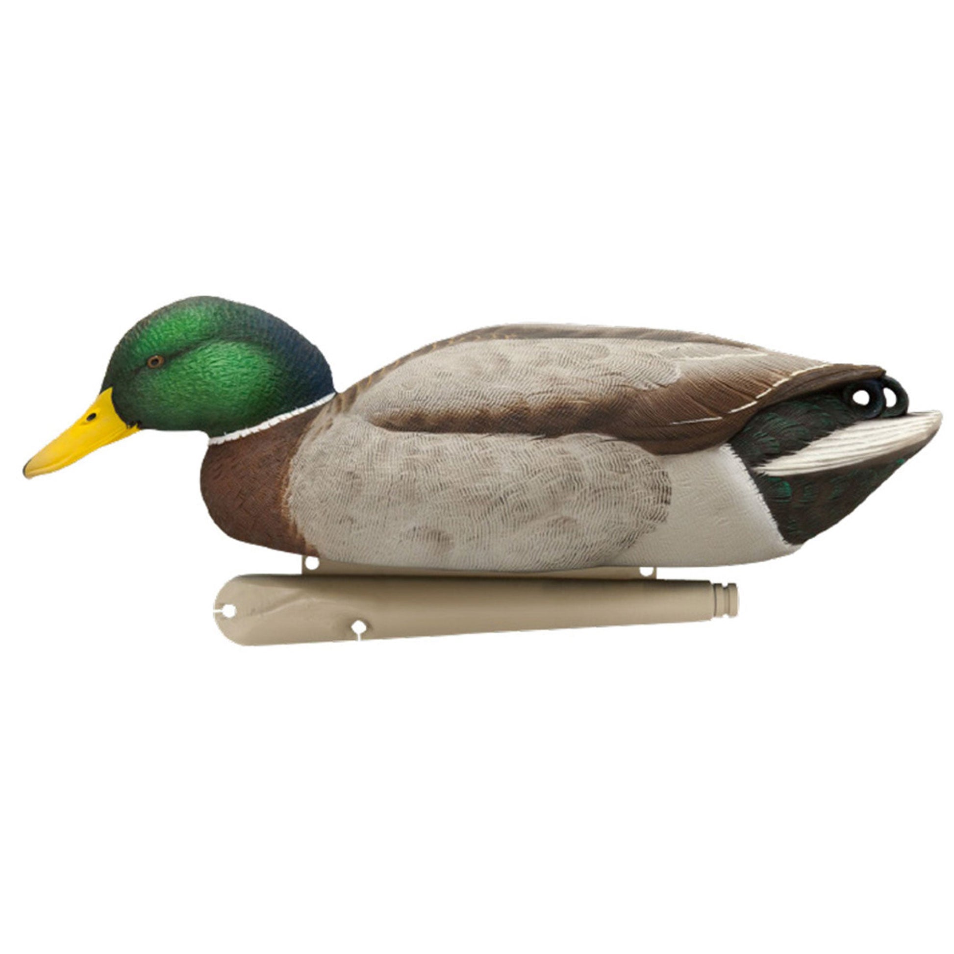 Avian X Topflight Backwater Mallards Decoys, Ultra Realistic Floating, 6 Pack - Angler's Pro Tackle & Outdoors