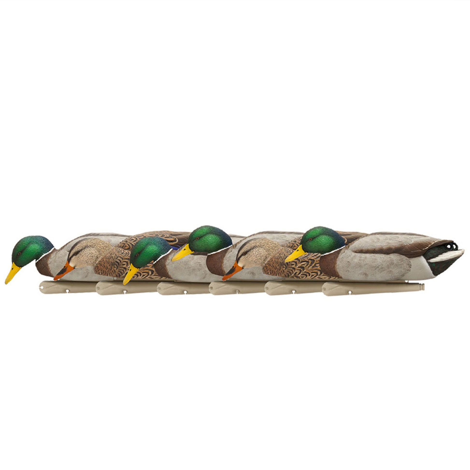 Avian X Topflight Backwater Mallards Decoys, Ultra Realistic Floating, 6 Pack - Angler's Pro Tackle & Outdoors