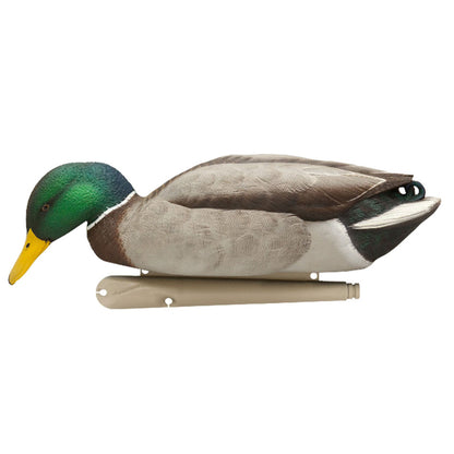 Avian X Topflight Backwater Mallards Decoys, Ultra Realistic Floating, 6 Pack - Angler's Pro Tackle & Outdoors