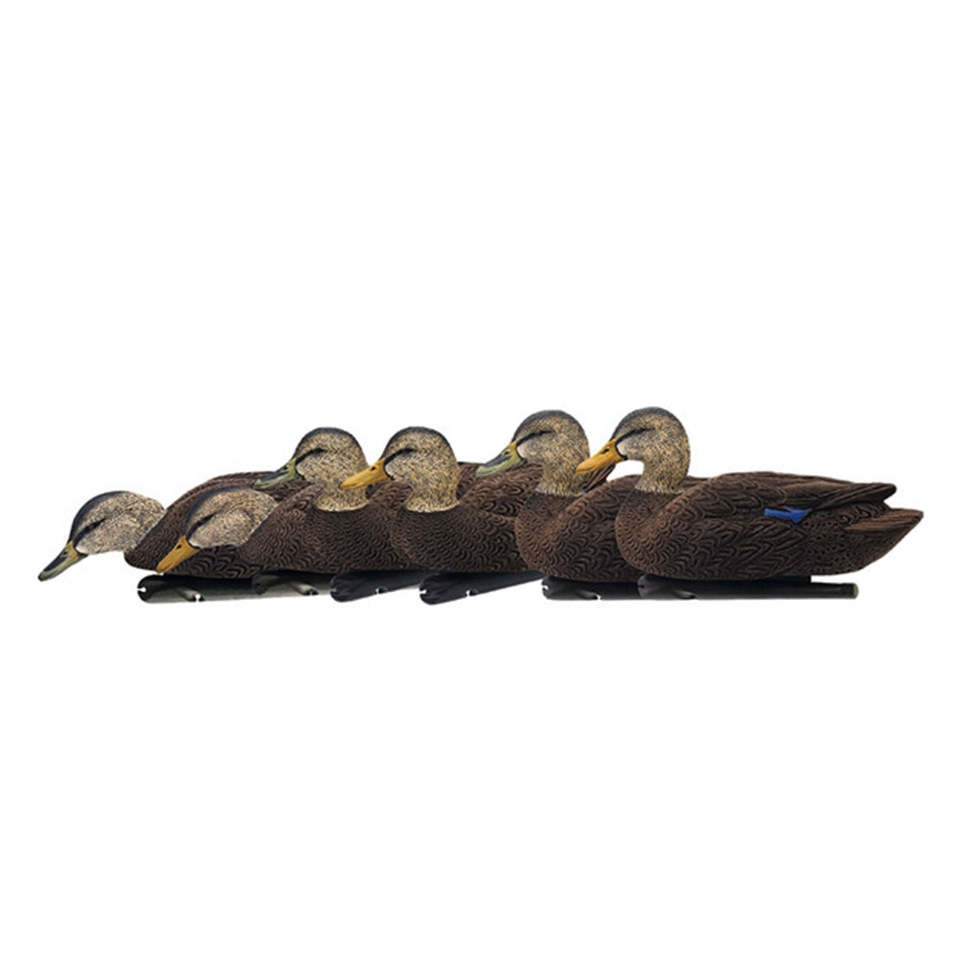 Avian X Topflight Black Ducks Decoys with Flocked Bodies, Realistic Paint Scheme - Angler's Pro Tackle & Outdoors