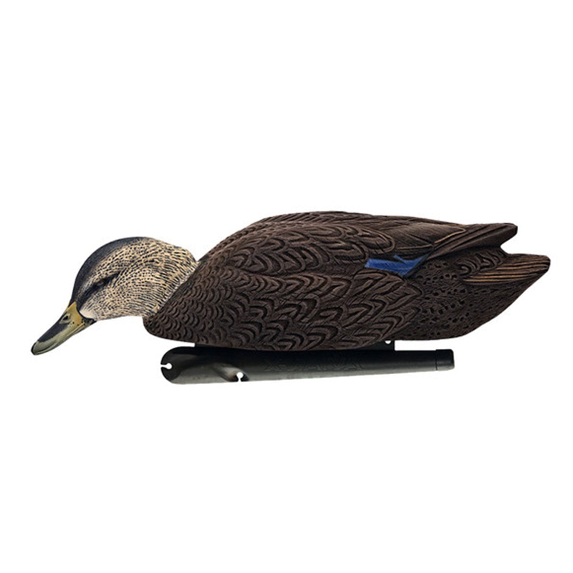 Avian X Topflight Black Ducks Decoys with Flocked Bodies, Realistic Paint Scheme - Angler's Pro Tackle & Outdoors