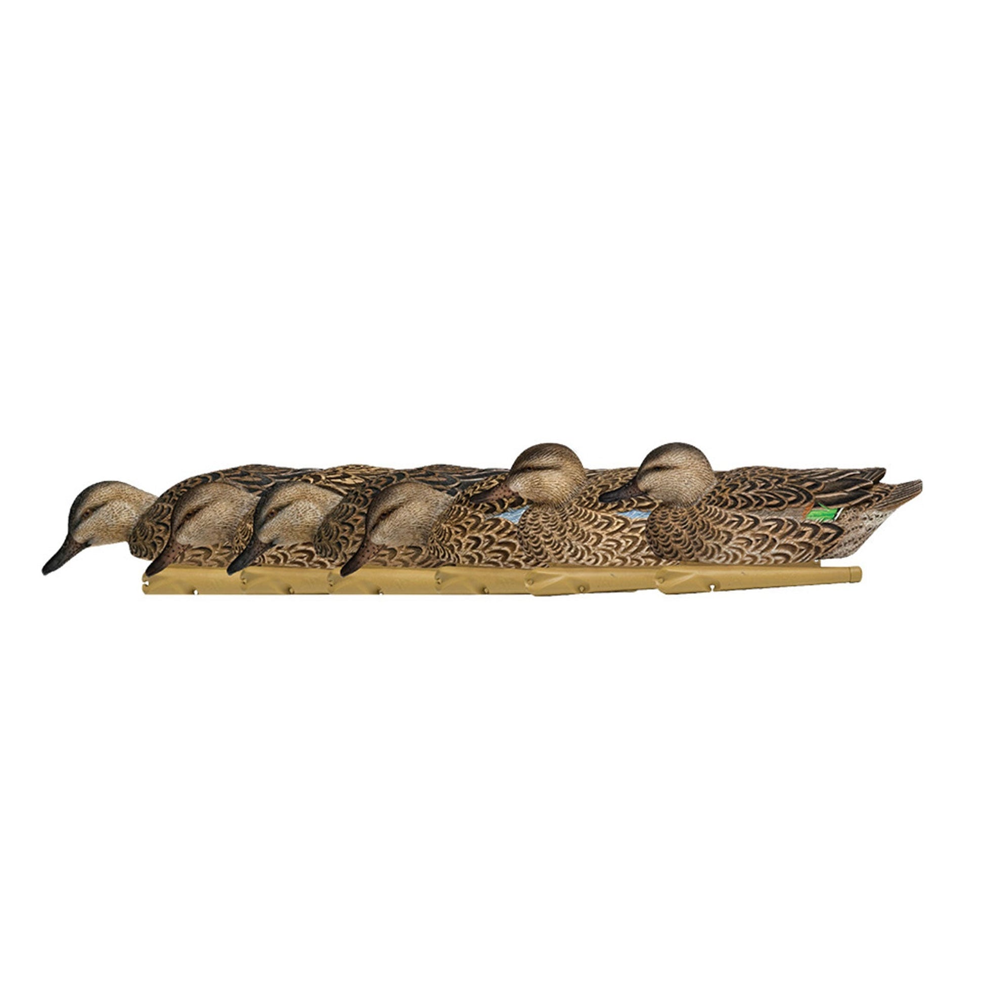 Avian X Topflight Early Season Teal with Realistic True to Life Postures, 6 Pack - Angler's Pro Tackle & Outdoors