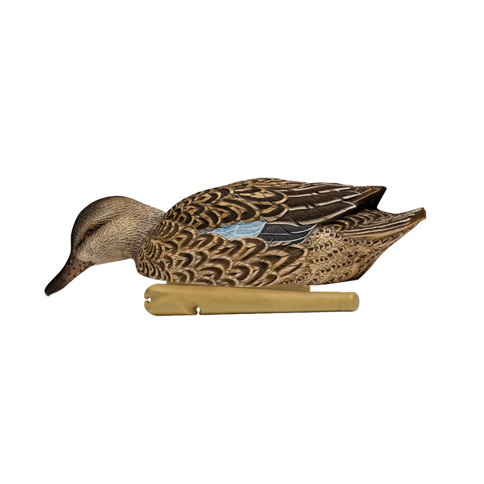 Avian X Topflight Early Season Teal with Realistic True to Life Postures, 6 Pack - Angler's Pro Tackle & Outdoors