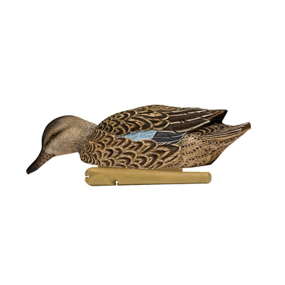 Avian X Topflight Early Season Teal with Realistic True to Life Postures, 6 Pack - Angler's Pro Tackle & Outdoors