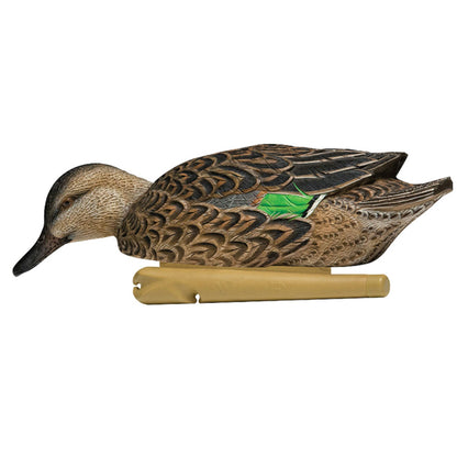 Avian X Topflight Green - Winged Teal Duck, Floating Decoys, Set of 12, Multicolor - Angler's Pro Tackle & Outdoors