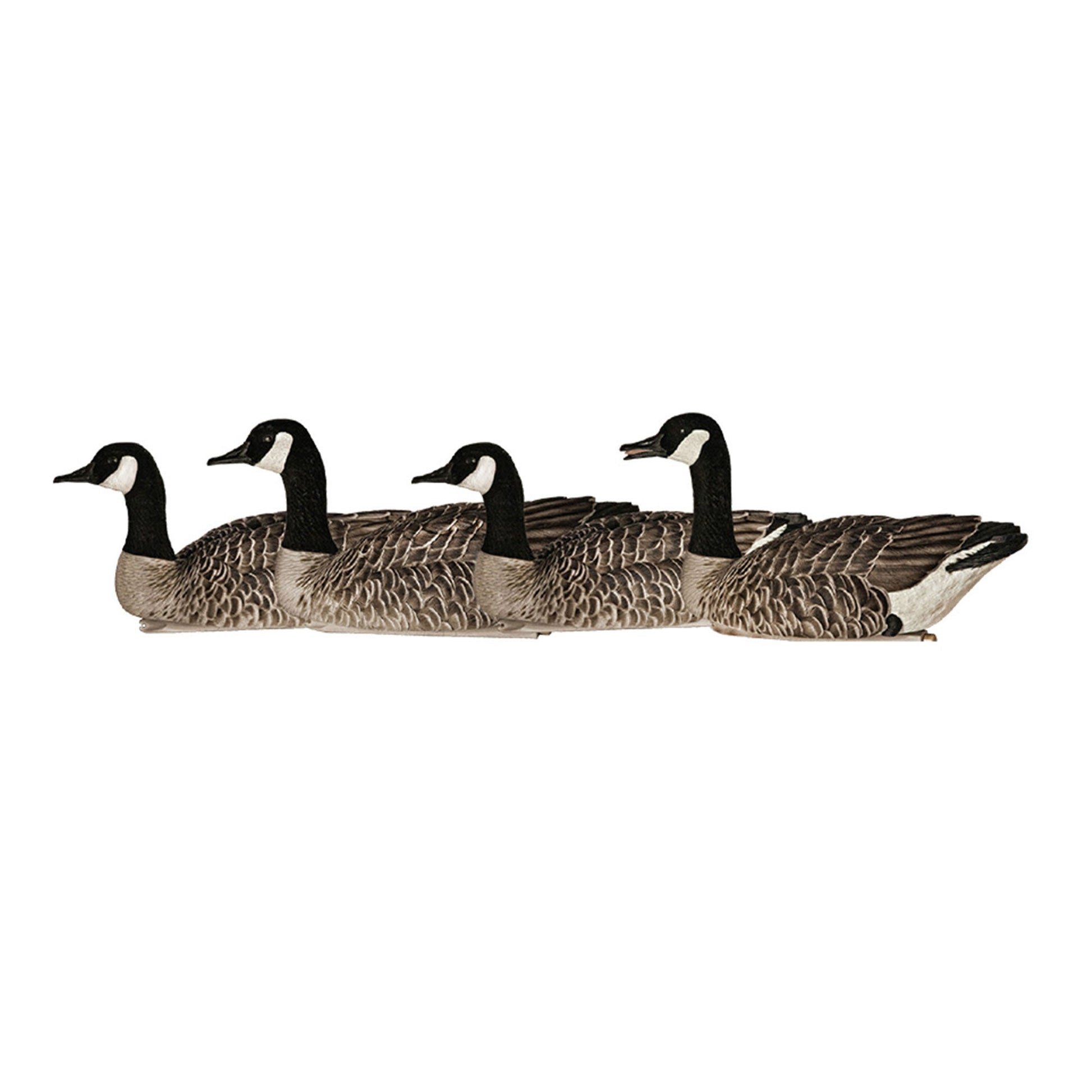 Avian X Topflight Honker Floaters with True to Life Postures for Hunting Use - Angler's Pro Tackle & Outdoors