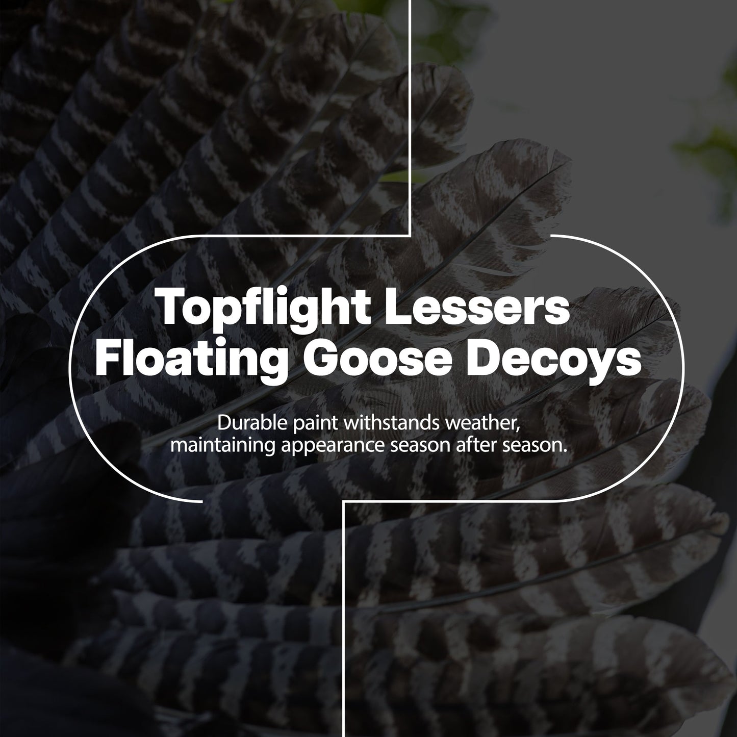 Avian X Topflight Lessers Floating Goose Hunting Decoys for Hunting Purposes - Angler's Pro Tackle & Outdoors