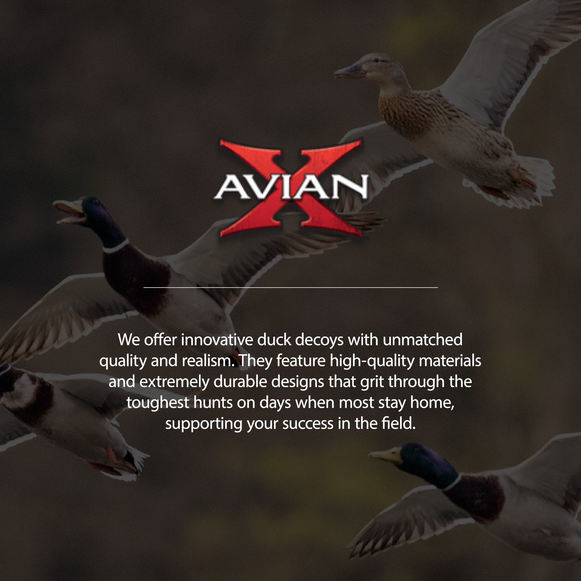 Avian X Topflight Lessers Floating Goose Hunting Decoys for Hunting Purposes - Angler's Pro Tackle & Outdoors