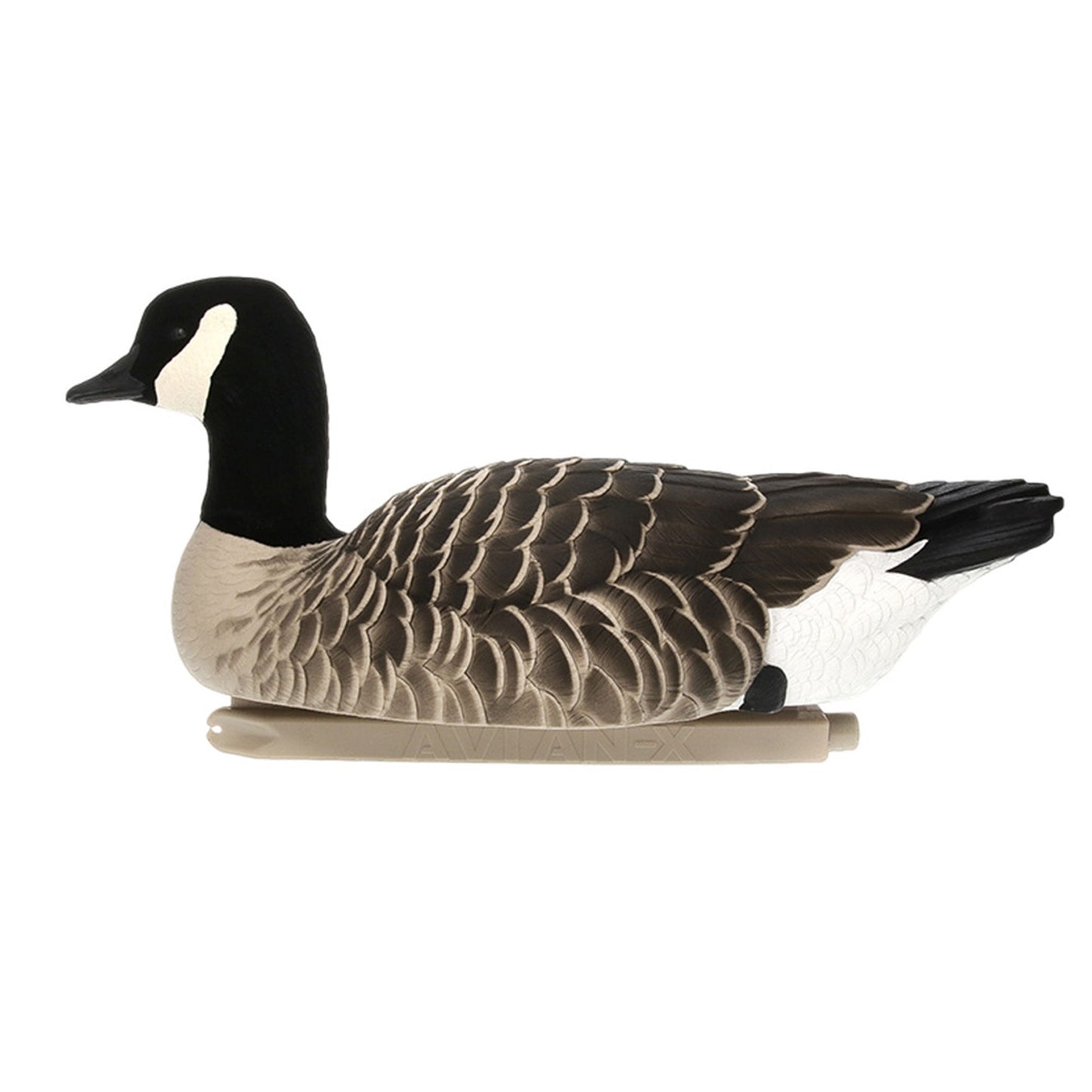 Avian X Topflight Lessers Floating Goose Hunting Decoys for Hunting Purposes - Angler's Pro Tackle & Outdoors