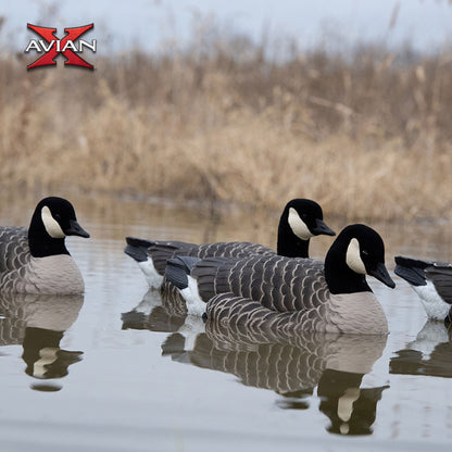 Avian X Topflight Lessers Floating Goose Hunting Decoys for Hunting Purposes - Angler's Pro Tackle & Outdoors