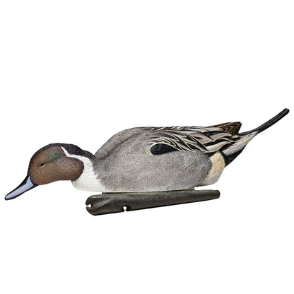 Avian X Topflight Pintails, Realistic Floating Decoys, Set of 6, Multicolor - Angler's Pro Tackle & Outdoors