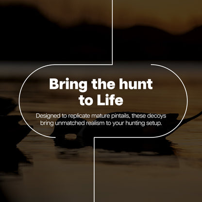 Avian X Topflight Pintails, Realistic Floating Decoys, Set of 6, Multicolor - Angler's Pro Tackle & Outdoors