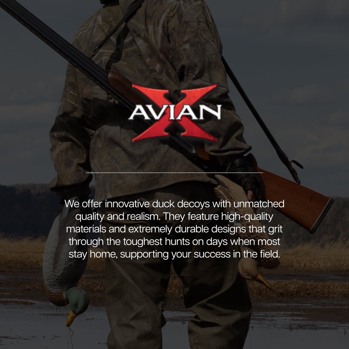 Avian X Topflight Pintails, Realistic Floating Decoys, Set of 6, Multicolor - Angler's Pro Tackle & Outdoors