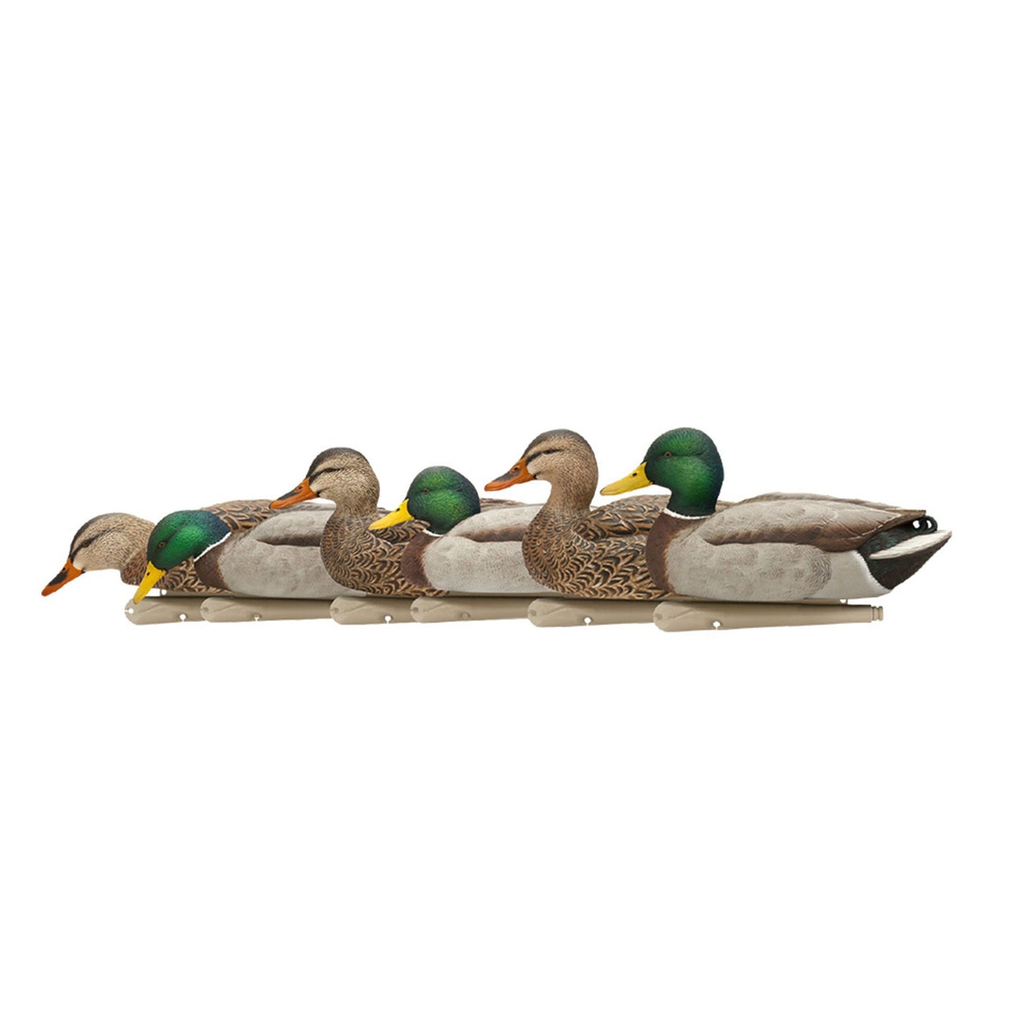 Avian X Topflight Realistic Floating Rugged Fusion Mallard Decoy Set, 6 Pack - Angler's Pro Tackle & Outdoors