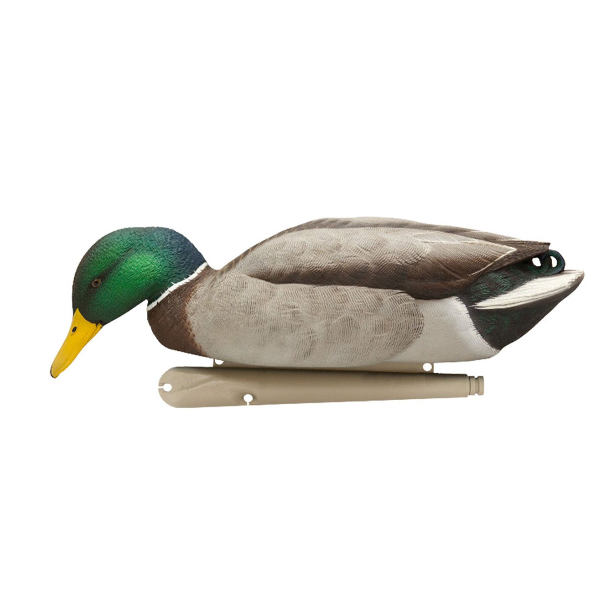 Avian X Topflight Realistic Floating Rugged Fusion Mallard Decoy Set, 6 Pack - Angler's Pro Tackle & Outdoors