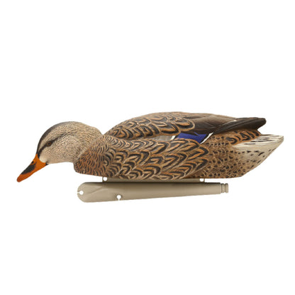 Avian X Topflight Realistic Floating Rugged Fusion Mallard Decoy Set, 6 Pack - Angler's Pro Tackle & Outdoors